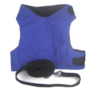 Blue Soft Cat Harness and Black Lead